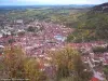 Poligny vue de la croix du Dan