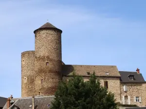 Die Burg