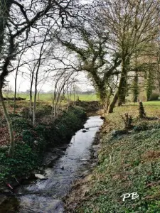 Campagne de Pont-à-Marcq