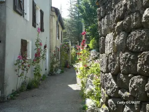 flower alley