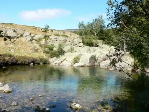 Tarn ha visto la scia di Mas Camargue