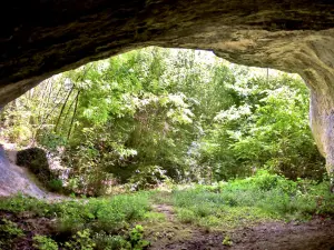 Portico della grande grotta Rochedane inferiore, vista dal fondo (© JE)