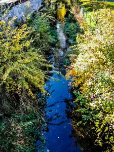 Ruisseau la Ranceuse, a monte del Pont de la cappella in Vermondans (© JE)