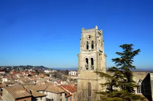 La ville et son église Saint-Saturnin vues du toit du prieuré