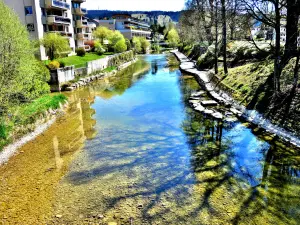 Walk on the bank of the Doubs (© J.E)