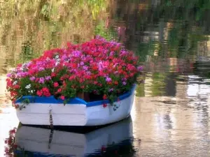 Barco florido