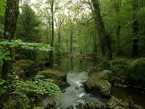 Porcaro - Guía turismo, vacaciones y fines de semana en Morbihan