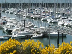 The new port, marina Noëveillard