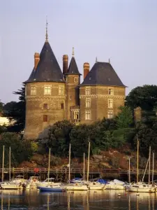 The castle