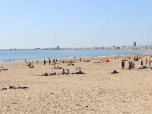 Beach Booksellers - Pornichet