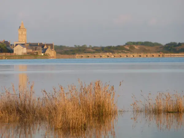 Port-Bail-sur-Mer - Führer für Tourismus, Urlaub & Wochenende in der Manche