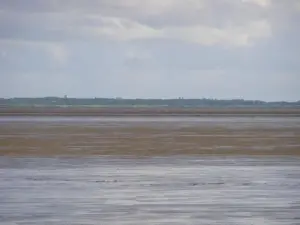 L'isola di Oléron vista da Port-des-Barques