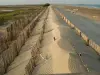 Plage Napoléon - Lieu de loisirs à Port-Saint-Louis-du-Rhône