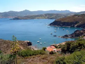 Bay Paulilles, Port-Vendres Beach