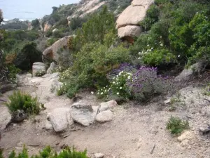 Promenade dans la montagne