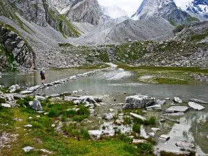 Ford Lake of Cows