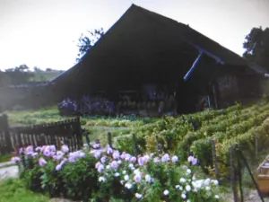 Beau jardin bien travaillé 