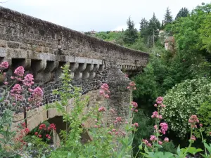 Pont Louis XIII 