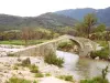修复前的Spin'a Cavallu大桥（©J.E）