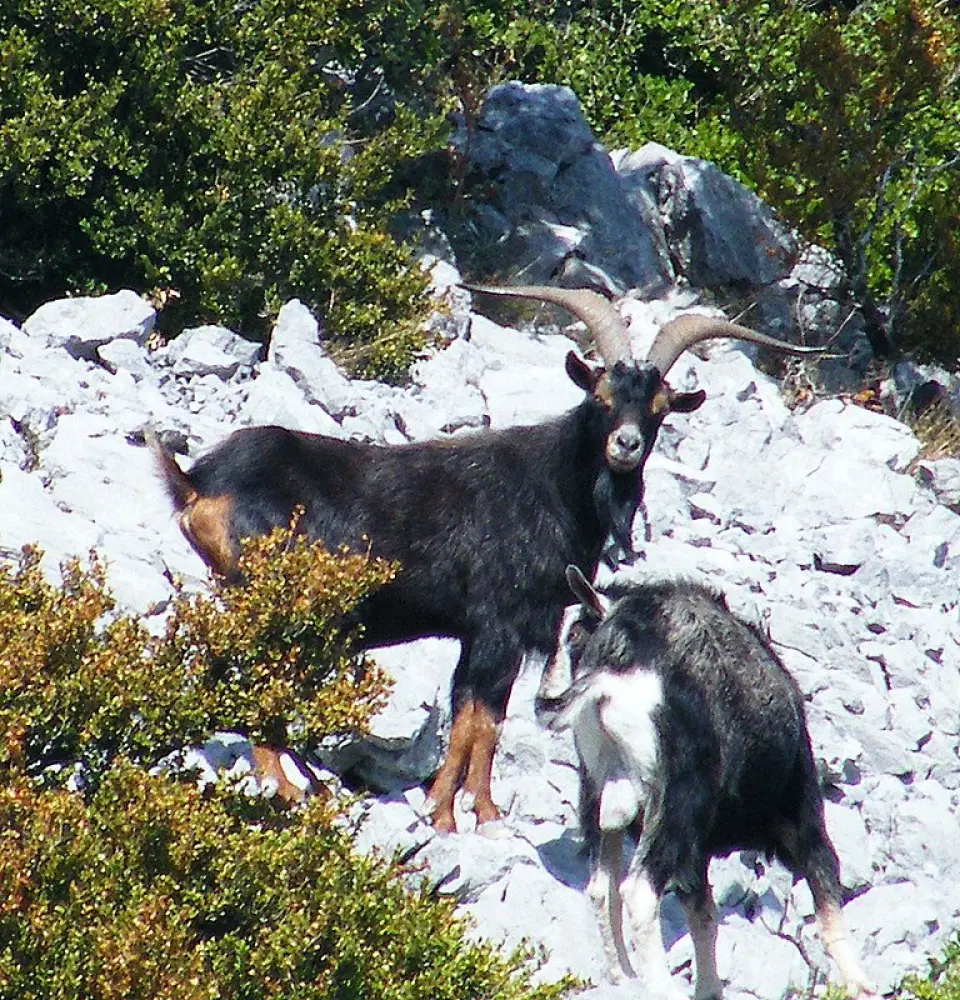 Photos Prugnanes Tourisme, Vacances & Weekend