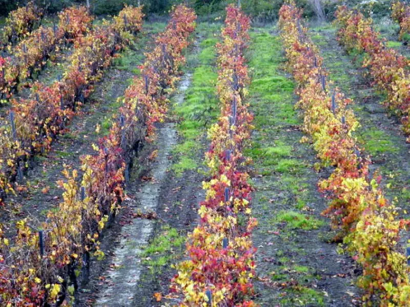 Photos Prugnanes Tourisme, Vacances & Weekend