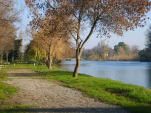 Le bord d'Aude