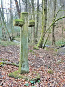 Croix Mathay, vue côté Est - Hameau des Forges (© Jean Espirat)