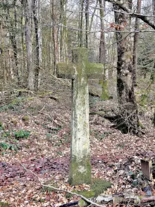 Croix Mathay - Uitzicht westzijde - Hameau des Forges (© Jean Espirat)