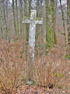 Croix près de l'étang Bégeot - Hameau de la Grange Durand (© Jean Espirat)
