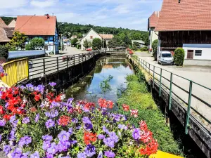 L'Ill, stroomafwaarts van Raedersdorf brug (© J. E)