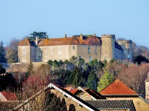 Il castello, visto dal sentiero del traghetto (© Jean Espirat)