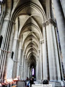 Cathédrale - Bas-côté Nord (© Jean Espirat)