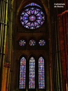 Cathédrale - Vitraux du transept Nord (© Jean Espirat)