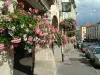 Remiremont et ses célèbres arcades
