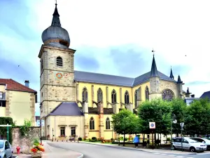 Kerk van Onze Lieve Vrouw van Remiremont (© J.E)