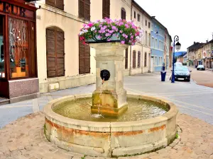 Fontein halverwege de rue Charles de Gaulle (© J.E)