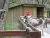 Abel, Belle et les autres au parc de loisirs