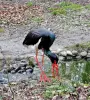 Animal park - Black stork (© Jean Espirat)