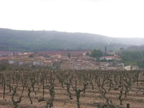 Ribaute - Tourism, holidays & weekends guide in the Aude