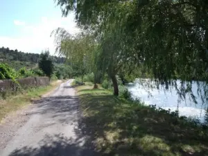 The water close to the waterfall