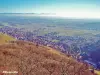 城の道からの Ribeauvillé のパノラマ(© J.E)