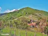 Panorama from the vineyard (© Jean Espirat)