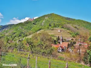 Panorama from the vineyard (© Jean Espirat)