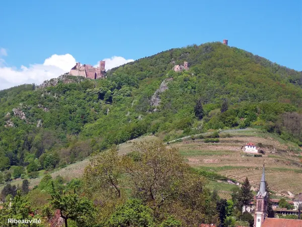 Castillo del Girsberg - Monumento en Ribeauvillé