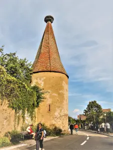 Torre della cicogna, sud (© J.E)