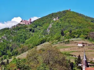 Castles of Ribeauvillé