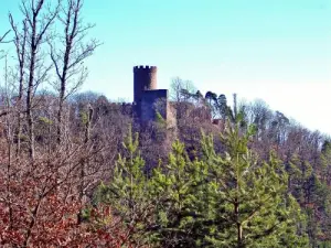 Château du Haut-Ribeaupierre（上里博皮埃尔城堡酒店）