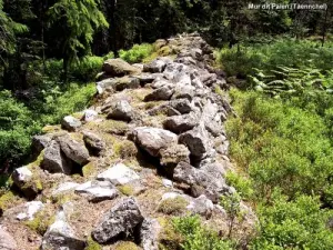 Taennchel - Pagan Wall