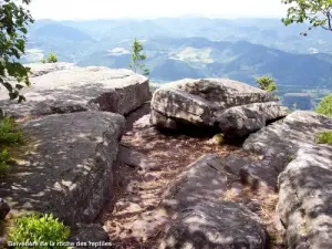 Taennchel - 爬行动物岩石观景台