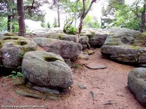 Taennchel - Rocce del Gigante (cupole)